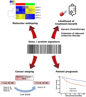 An Update on Breast Cancer Multigene Prognostic Tests—Emergent Clinical Biomarkers